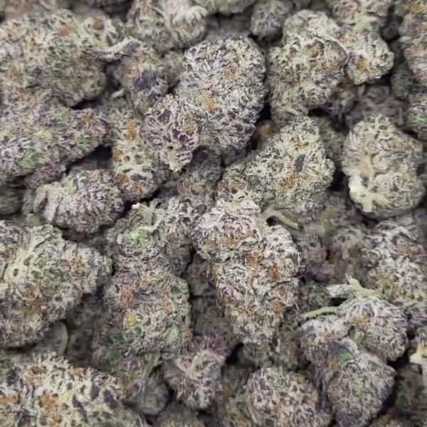 Black Ice Indoor Exotic THCA Flower