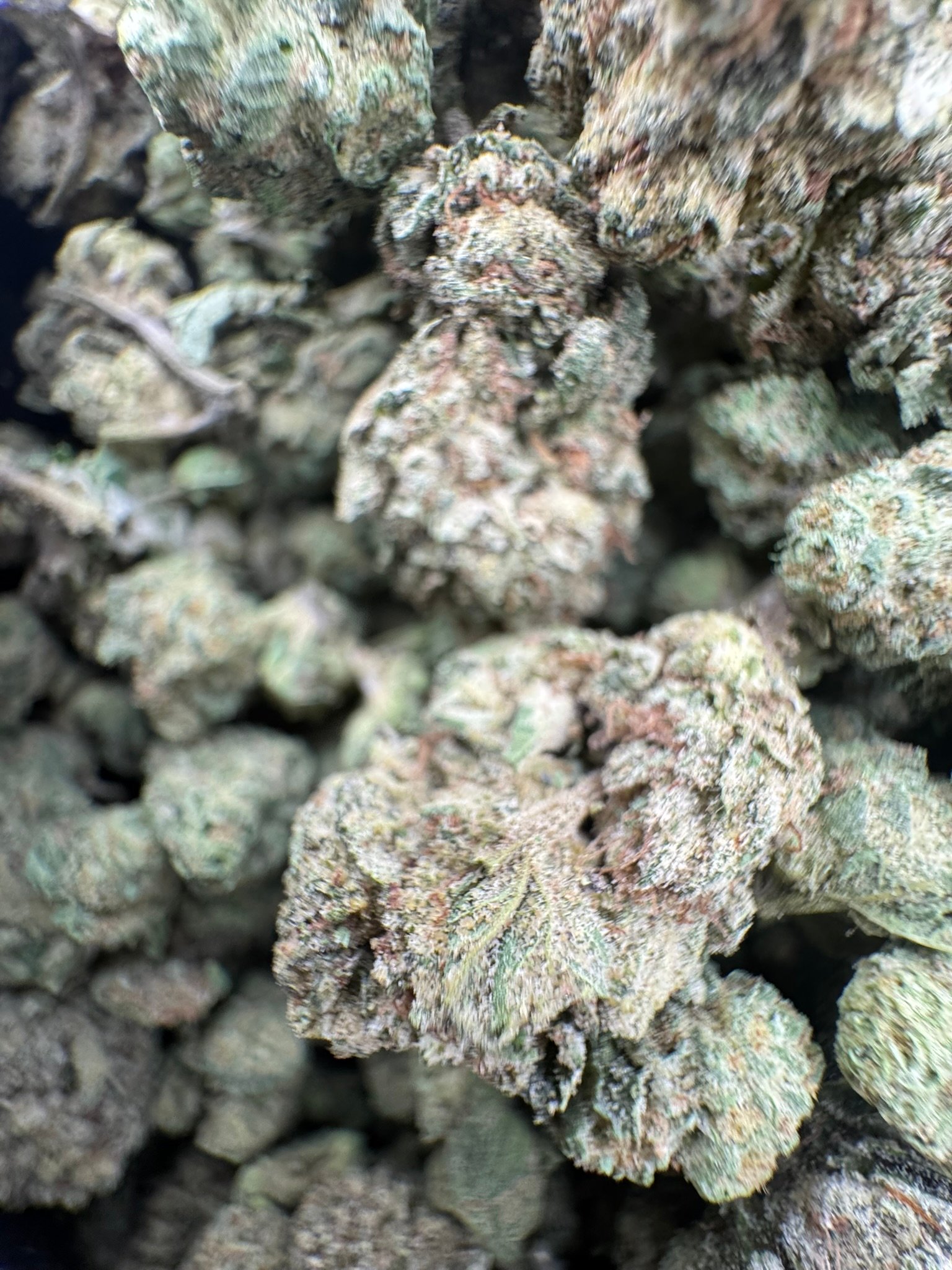 La Pop Rockz (Indica) Top Shelf 1000$ IB THCA Flower