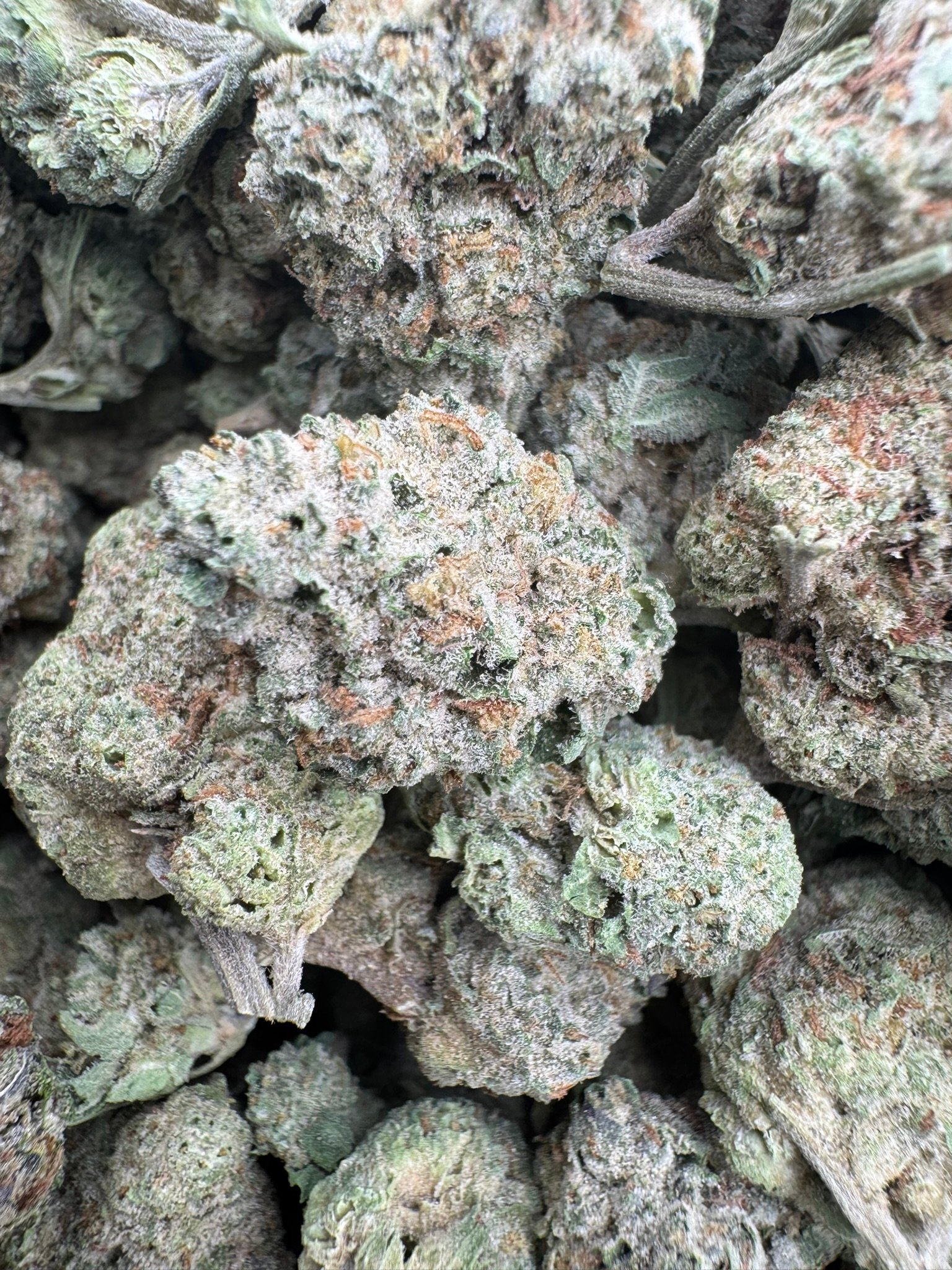 Chapel of love (Indica) Top Shelf 1000$ IB THCA Flower